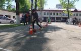 IMG_6931