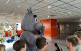 изображение_viber_2023-10-13_15-59-06-064