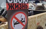 изображение_viber_2023-11-08_13-47-02-044