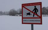 IMG_4920