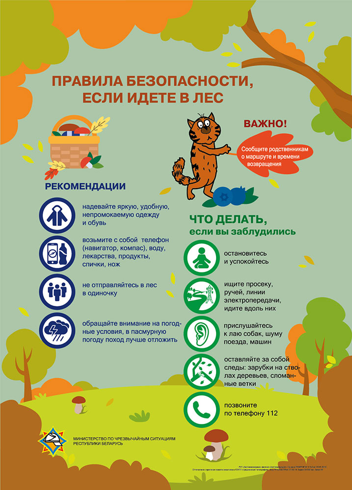 лес