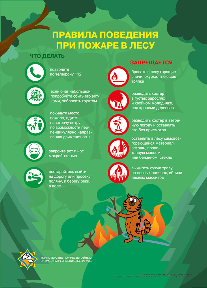 пожар-в-лесу